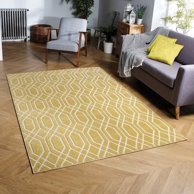 Stunning Indoor/Outdoor Rugs for Sale Top Tips Before You Buy